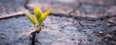 Gabinety Psychologiczne Neurosymetria mgr Mariusz Kowal